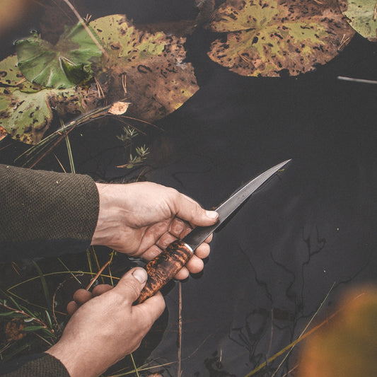 Roselli Big Fillet knife, with stained curly birch handle 