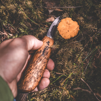 Finnish handmade mushroom knife made from carbon steel and curly birch. Comes with a handmade leather sheath and a mushroom brush made from arenga fiber