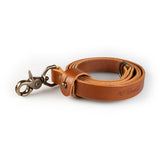 Roselli Dog Leash with D-ring